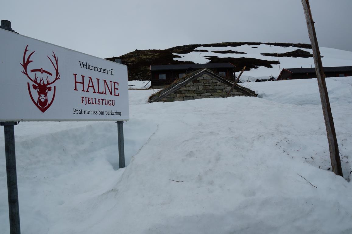 Halne Mountain Lodge Ausflug in Norwegen