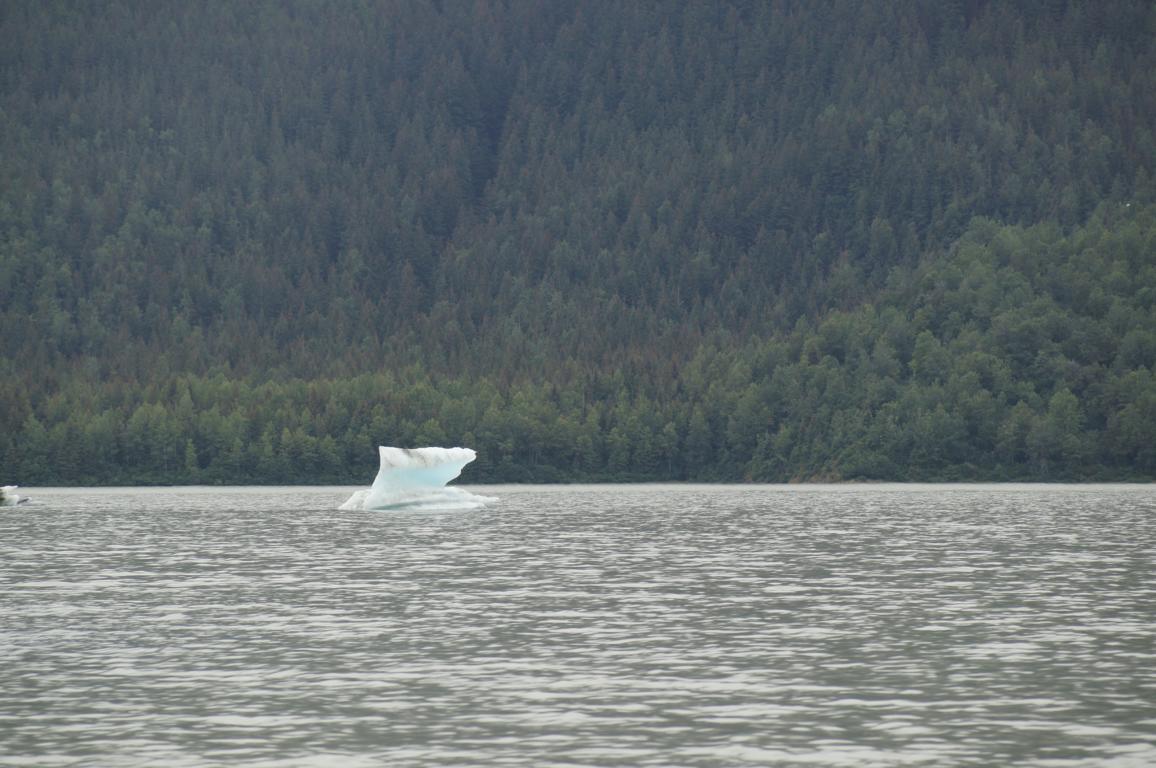 Mendenhall Gletscher - Juneau - Alaska