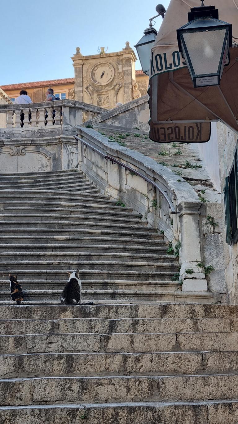 Kroatien Spanische Treppe in Dubrovnik