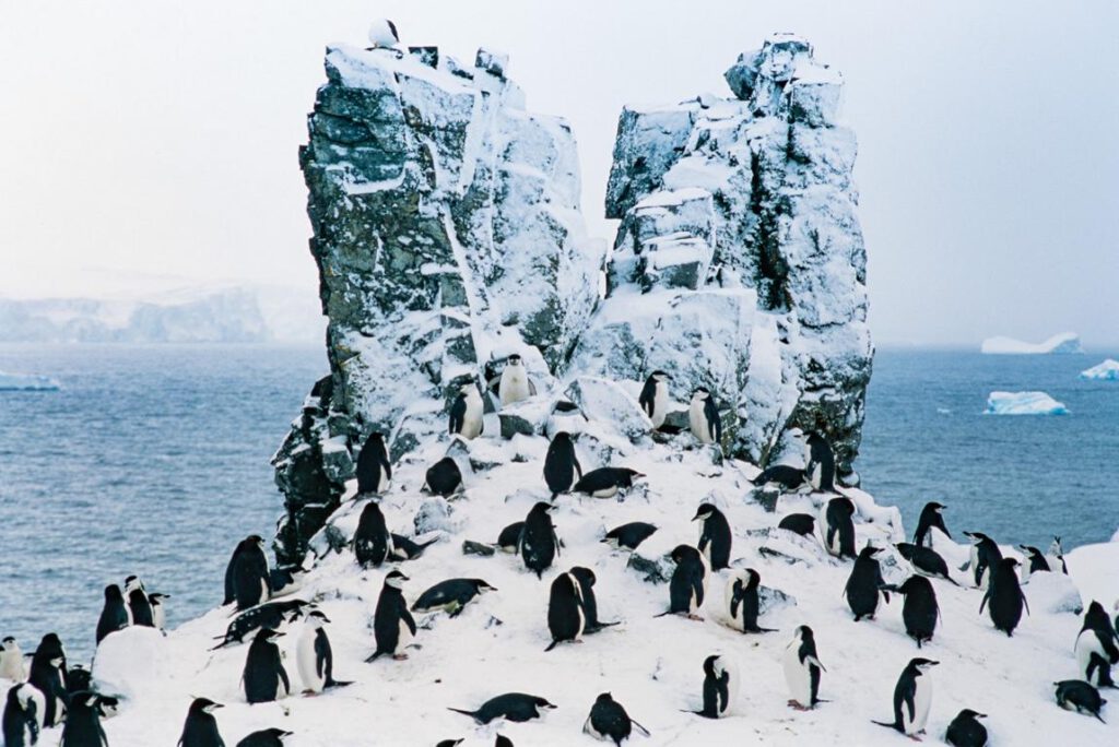 20 Jahre Antarktis Hurtigruten Expedition Seiten Cruise Couple Kreuzfahrt 4.0